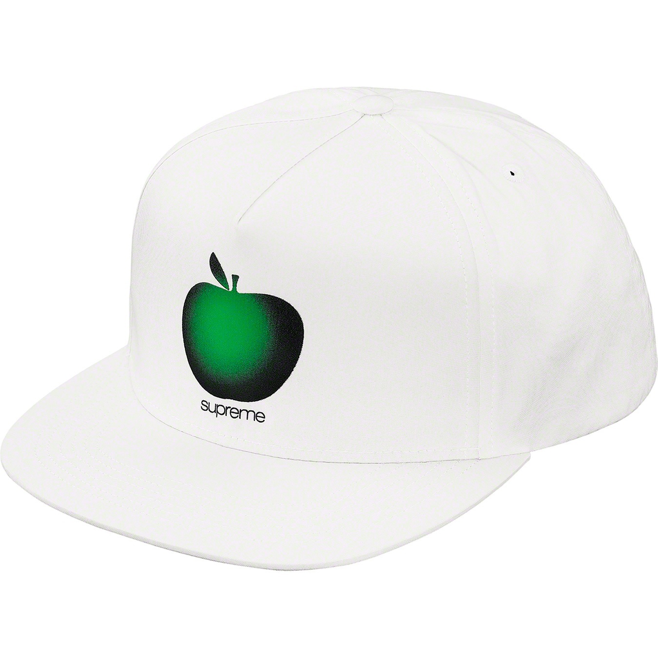 Apple 5-Panel view 6